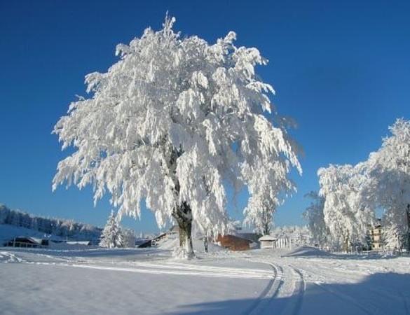 Appartamenti Dolomiti Моэна Экстерьер фото