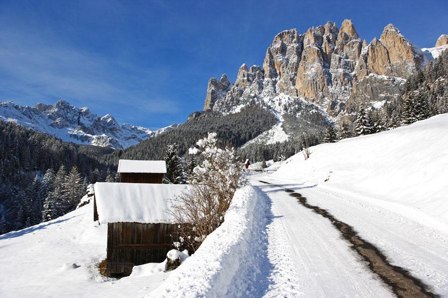 Appartamenti Dolomiti Моэна Экстерьер фото